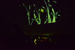 LittlePiano vol.4 in Sapporo #10